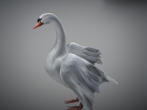 animated swan 3D Model