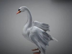 Animated swan 3D Model