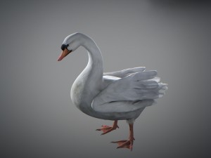 animated swan 3D Model