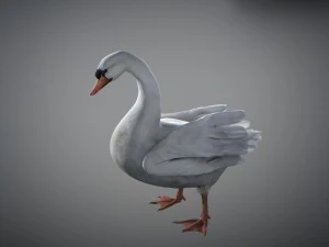 Animated swan 3D Model