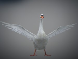 animated swan 3D Model