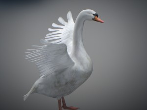 animated swan 3D Model