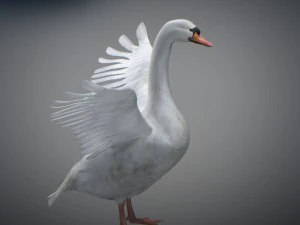 Animated swan 3D Model