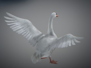 animated swan 3D Model