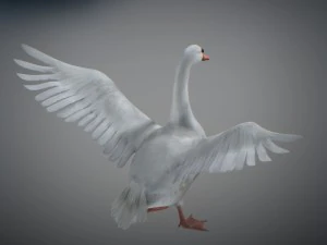 Animated swan 3D Model