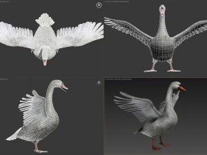 Animated swan 3D Model