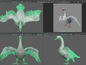 Animated swan 3D Model