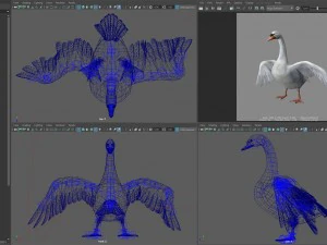 Animated swan 3D Model