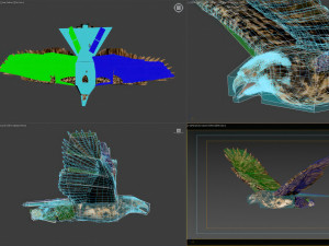 Animated hawk 3D 모델