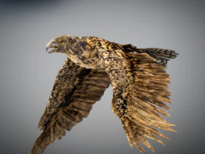 Animowany jastrząb Model 3D