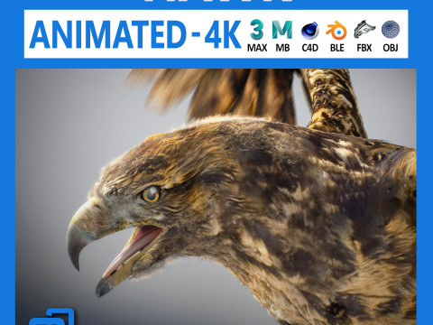 Animated hawk Modelo 3D