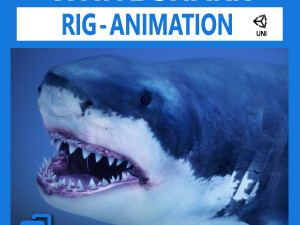 great white shark v2 unity 3D Model