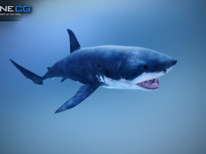great white shark v2 unity 3D-Modell