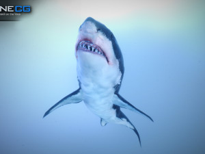 great white shark v2 unity 3D-Modell