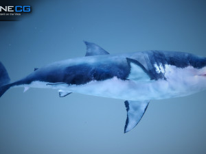 great white shark v2 unity 3D-Modell