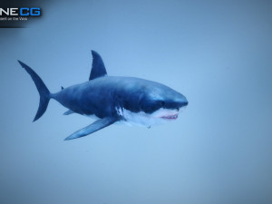 great white shark v2 unity 3D-Modell