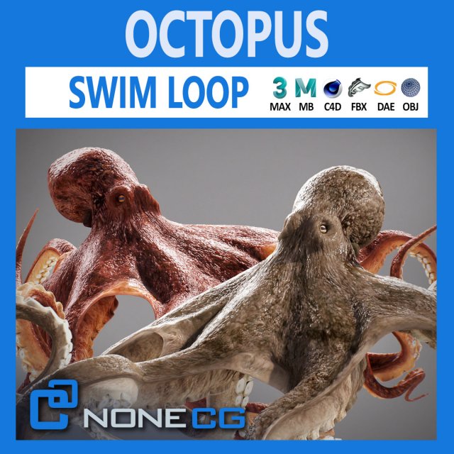 Animated octopus v2 3D Model .c4d .max .obj .3ds .fbx .stl .blend 