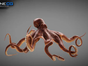 Gurita animasi v2 Model 3D