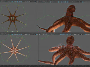 Gurita animasi v2 Model 3D