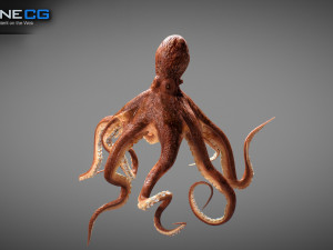 Animated octopus v2 3D Model