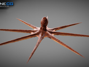 Animated octopus v2 3D Model