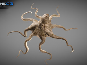 Animated octopus v2 3D Model