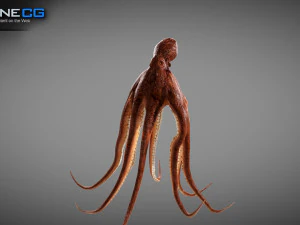 Gurita animasi v2 Model 3D