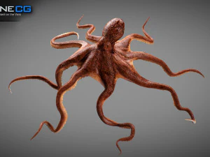 Gurita animasi v2 Model 3D