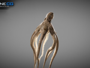 Animated octopus v2 3D Model