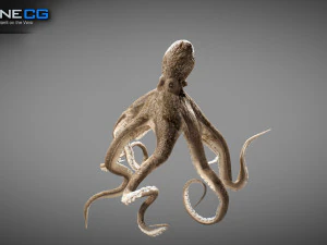 Gurita animasi v2 Model 3D