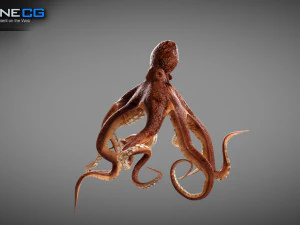 Gurita animasi v2 Model 3D