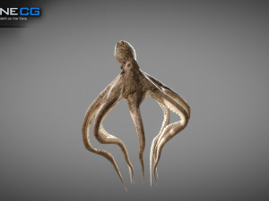 Animated octopus v2 3D Model