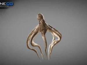 Gurita animasi v2 Model 3D