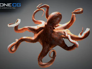 Gurita animasi v2 Model 3D