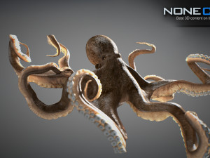 Animated octopus v2 3D Model