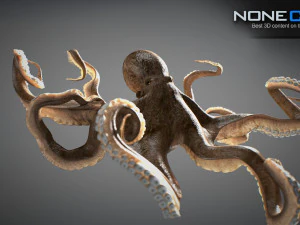 Gurita animasi v2 Model 3D