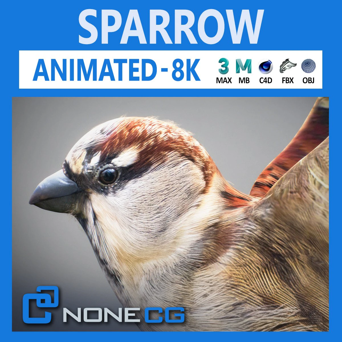 Animated Sparrow 3D Model .c4d .max .obj .3ds .fbx .stl .blend 
