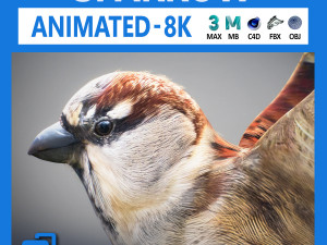 Animated Sparrow 3D Model