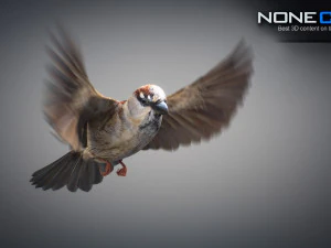 Animated Sparrow 3D Model