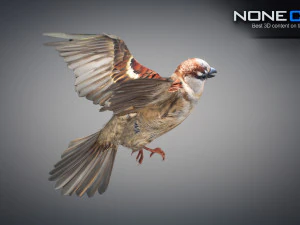 Animated Sparrow 3D Model