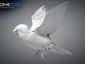 Animated Sparrow 3D Model