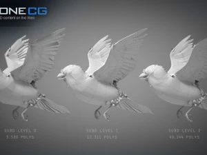 Animated Sparrow 3D Model