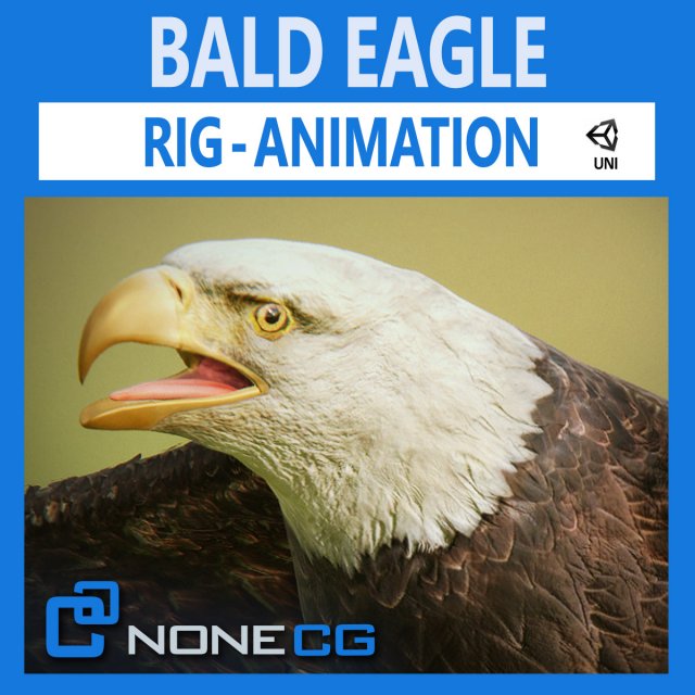 bald eagle v3 - unity Modelo 3D .c4d .max .obj .3ds .fbx .stl .blend 