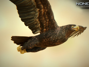 eagles pack v3 - unity 3D Model