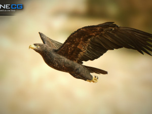 eagles pack v3 - unity 3D Model
