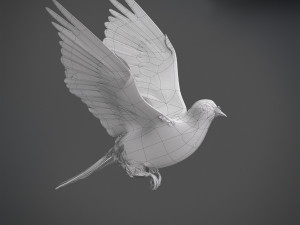 White dove animated 3D Model