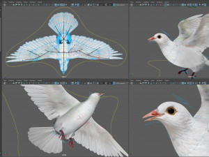 White dove animated 3D Model