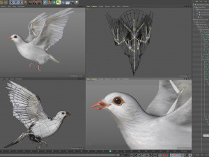White dove animated 3D Model