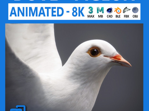 White dove animated Modelo 3D