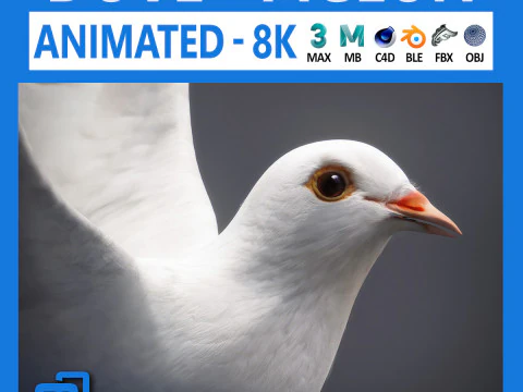 Beyaz g&uuml;vercin animasyonlu 3D Model